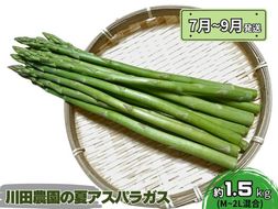 アスパラガス 先行予約 夏アスパラガス 約1.5kg+100g M～2L 混合 川田農園 アスパラ グリーンアスパラ 野菜 夏野菜 旬 旬の野菜 産地直送 2026年 2026 予約 青森 冷蔵 冷蔵配送 7月～9月発送