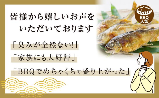 若あゆ（冷蔵配送）1kg（10尾～15尾）OGATA養殖技術研究所 南紀白浜 304018_FA01