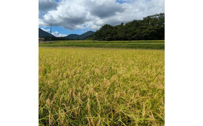 1805.令和7年産　こしひかり精米　10kg 313726_CH002