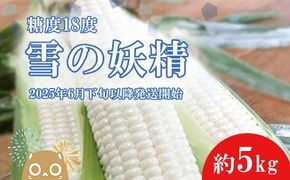 K1966【先行予約】【2025年6月下旬以降順次発送】糖度18度前後 白いとうもろこし「雪の妖精」約5kg入り 1000セット限定