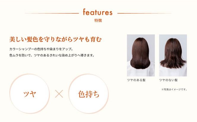 リシリアフレル カラーケアコンディショナー 専用ボトル+詰め替え用パウチセット 糸島市 / 株式会社ピュール コンディショナー 補修[AZA181] コンディショナー 補修 ダメージ パサつき うねり 詰め替え ボトル セット