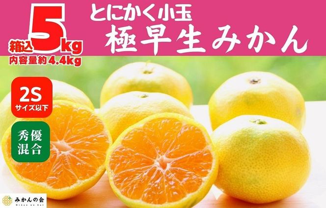 ya̎RLc쒬zʂ݂ ɑ  5kg (eʖ 4.4kg) 2STCYȉ Gi Di  Lc݂ a̎RY ỷ݂z AX224