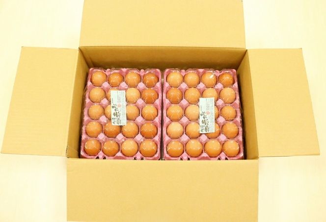 新鮮 卵 京都・丹波の赤たまご 計40個（30個+卵割れ保証10個）｜ 生卵 たまご 鶏卵 小分け 贈答 ギフト ※北海道・沖縄・離島への配送不可