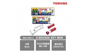 東芝 防災グッズ 4点セット アルカリ乾電池 単3・4形 懐中電灯 LEDランタン付きライト X-BOUSAI SET MINI 長持ち 使用推奨期限 10年 災害 アウトドア 防災グッズ 備蓄 乾電池 ロングセラー 家電 おすすめ 人気 TOSHIBA 神奈川県 川崎市