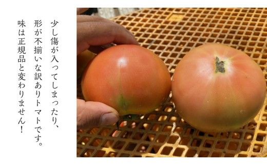 【 訳あり 】 地下水100％で作る美味しい 「 桃太郎トマト 」 8kg 野菜 桃太郎 トマト とまと 地下水 ミネラル [DU011ci]