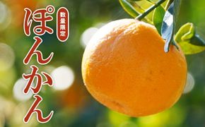 【 先行予約 】 果樹園みどり の 樹齢30年 ぽんかん 6kg （ 家庭用 ミックス  ）<発送期間：2月上旬～3月末> 家庭用 6kg 先行 事前 予約 受付 みかん ぽんかん 愛媛 産地直送 国産 農家直送 糖度 甘味 果樹園 期間限定 数量限定 特産品 ジュース 人気 限定 愛南 愛媛県 新鮮 果実 さわやか 風味 甘い フルーツ 果物 柑橘 果樹園 みどり