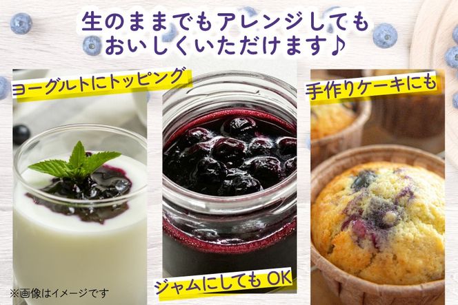 【期間限定発送】生食 ブルーベリー 1kg [ノーザン・ベリーズ 北海道 砂川市 12260529] 果物 フルーツ 国産 期間限定 数量限定