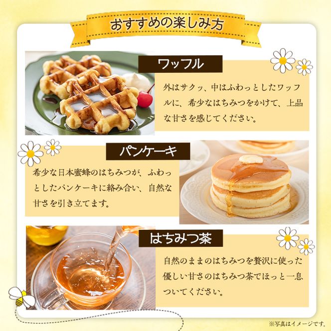 数量限定！日本蜜蜂 はちみつ(300g) 国産 蜂蜜 ハチミツ 日本ミツバチ 非加熱 ハニー ボトル 【三九】akn006-17