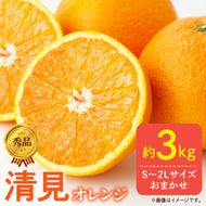 【2027年先行予約】秀品 きよみ 清見オレンジ 和歌山 有田 S～2Lサイズ 大きさお任せ 約3kg_DZ6103
