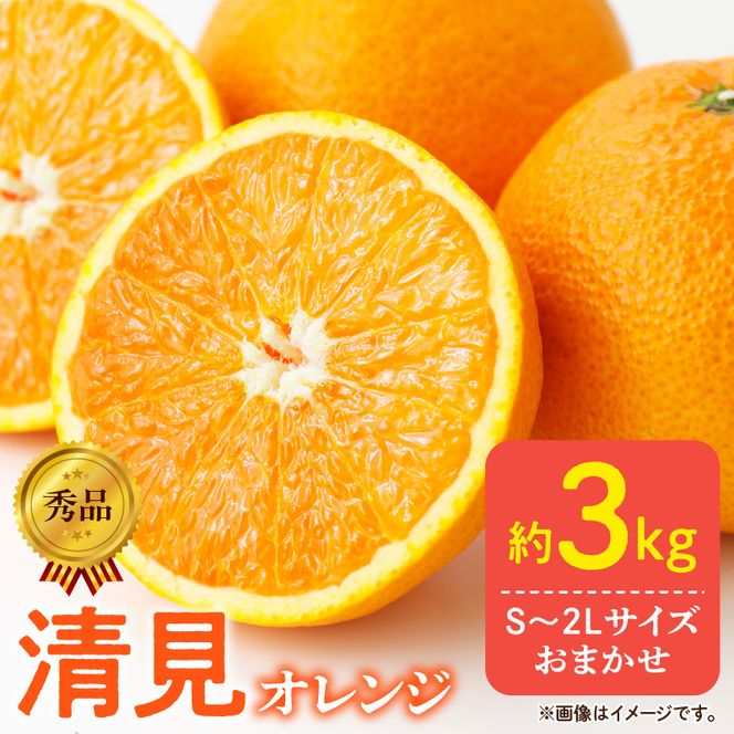 【2027年先行予約】秀品 きよみ 清見オレンジ 和歌山 有田 S～2Lサイズ 大きさお任せ 約3kg_DZ6103