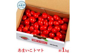 【先行予約】あまいこトマト 約1kg <2027年1月〜発送> / トマト ミニトマト フルーツトマト 糖度7～8度 高知県産 アイコ アイコトマト 健康 酸味控えめ 美味しい【池トマト】[BQAG025]
