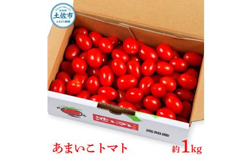 【先行予約】あまいこトマト 約1kg <2027年1月〜発送> / トマト ミニトマト フルーツトマト 糖度7～8度 高知県産 アイコ アイコトマト 健康 酸味控えめ 美味しい【池トマト】[BQAG025]