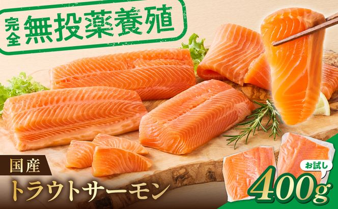 無投薬 国産 トラウトサーモン 小分け 400g以上 刺身用【宗像陸上養殖】_AS2096-00 無投薬 国産 鮭 サーモン 200 400 福岡県宗像市 宗像市 福岡 宗像