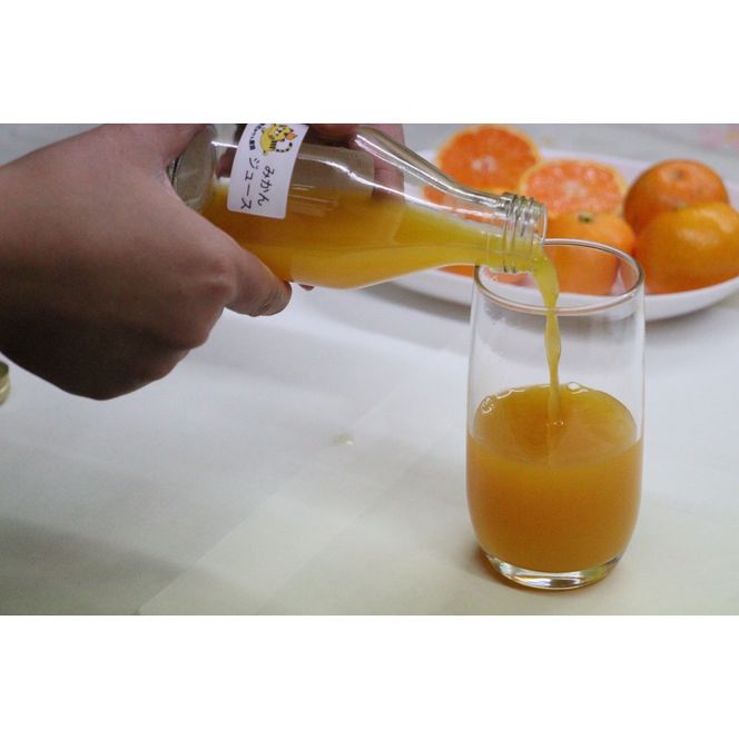 数量限定 有田みかんの産地から届く 果汁100％！ 搾りたての柑橘ジュース 180ml×24本 	DB034