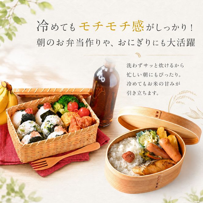 【令和8年産 先行予約】無洗米「12カ月定期便」食味鑑定士厳選！３０kg（５kg×６）×12回 白米 安心 安全 こだわり 米 コシヒカリ 定期 新潟県 十日町市