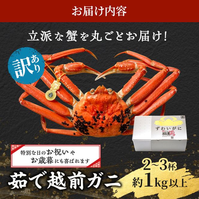 かに 訳あり 期間限定 茹で 越前ガニ 約1kg以上2～3杯 ボイルカニ ボイル 魚介 魚介類