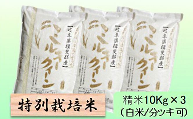 特別栽培米 【 令和8年産 】 精米 30kg（白米/5分/7分ツキ可）【 ミルキークイーン 】玄米は別に出品