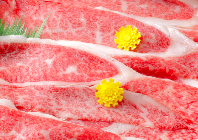 【3月発送分】極上近江牛カルビスライス【800g】【CB06W-3m】