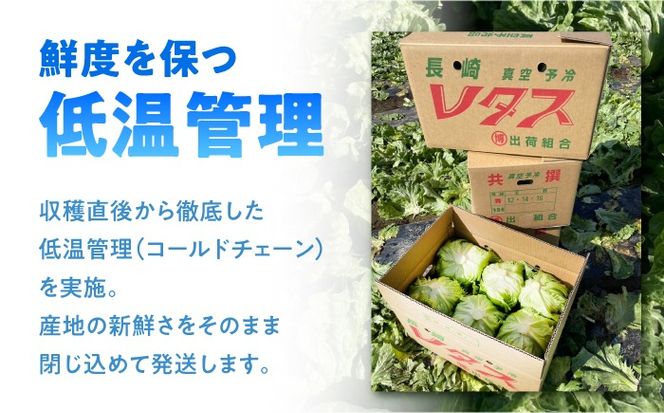 レタス 約4kg（6〜7玉）/ れたす 野菜 やさい / 南島原市 / 株式会社松尾青果[SGU006]
