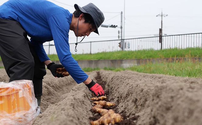 レモンシロップと佃煮セット（各2個）                                                