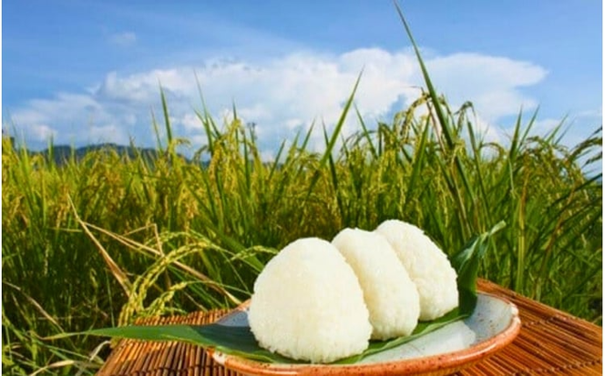 令和7年産 真庭市産 ひとめぼれ 無洗米 5kg / お米 岡山県 真庭市 無洗米 米 ひとめぼれ 人気 2025年産 【tkns003-01-cho】