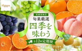 【定期便全12回】旬果厳選！四季を味わう単品定期便♪ 372013_GM024