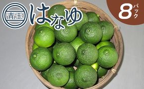 柚子 ＜2026年7月以降順次配送＞柚子 花柚子 虎弥太郎 はなゆ青玉 ８パック hy-0001