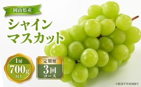 【 2026年 先行予約 】ぶどう 岡山県産 シャインマスカット 1房(約700g以上) 食べ比べ 定期便 3回 コース 《2026年9月-12月出荷》 葡萄 ブドウ 岡山県産 フルーツ 果物 数量限定 里庄町 