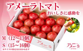 2B4アメーラトマト