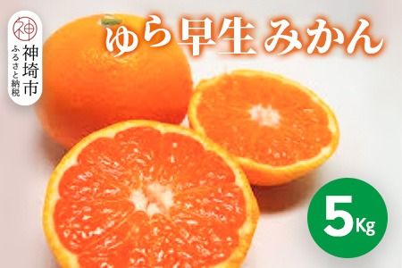 yꌧ_szy2026N9{蔭Jnz瑁݂ 5kgy݂ k t[c fU[gz(H116140)