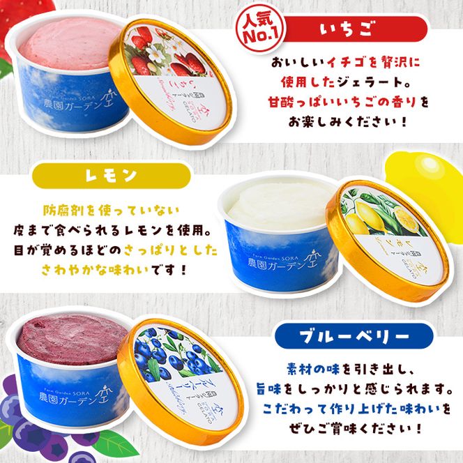 楽園のジェラート3種セット(合計9個) スイーツ デザート おやつ ジェラート アイス 夏 いちご レモン ブルーベリー 自社農園【農園ガーデン空】akn026-05