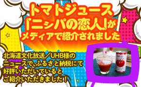 【定期便】完熟生食用トマトの旨味たっぷり！“贅沢濃厚”「ニシパの恋人」トマトジュース無塩　60缶 毎月×3回 ふるさと納税 人気 おすすめ ランキング トマトジュース トマト とまと 健康 美容 飲みやすい 定期便 北海道 平取町 送料無料 BRTH006