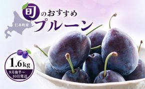[先行受付] 【9月後半～10月発送】北海道 仁木町産 おすすめプルーン1.6kg（400g×4パック） 果物類 果物 くだものフルーツ 果物詰合せ プルーン [和田農園]