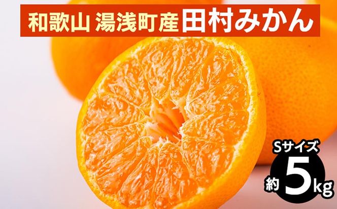 【先行予約】 田村みかん 約5kg 【Sサイズ】 和歌山県 湯浅町 田村地区産