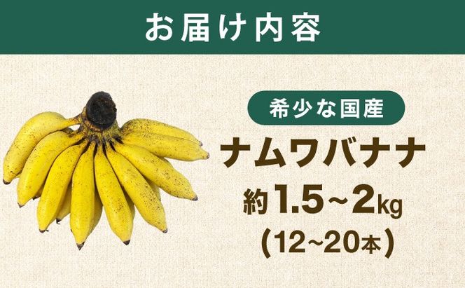 ≪2026年4～10月順次発送≫ 石垣島産 希少な国産『ナムワバナナ』を贅沢に1房丸ごと約1.5-2kg（12-20本）| 沖縄 石垣 バナナ フルーツ 果物 南国フルーツ 国産 TF-102_R8