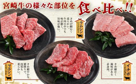 【数量限定】宮崎牛9種盛り焼肉セット≪みやこんじょ特急便≫_22-3101-Q