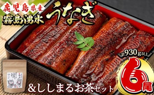 霧島湧水鰻6尾＆ししまるお茶セット 霧島湧水鰻(156g以上×6尾)＆緑茶ティーバッグ(3g×6個) c8-031