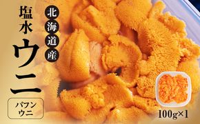北海道産　世壱屋塩水ウニ（バフンウニ）100g_Y038-0140