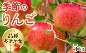 【品種はおまかせ】季節のりんご 5kg箱 ※2026年10月上旬～10月下旬頃に順次発送予定 313726_AG002