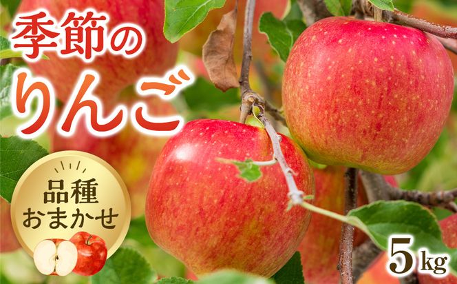 【品種はおまかせ】季節のりんご 5kg箱 ※2026年10月上旬～10月下旬頃に順次発送予定 313726_AG002