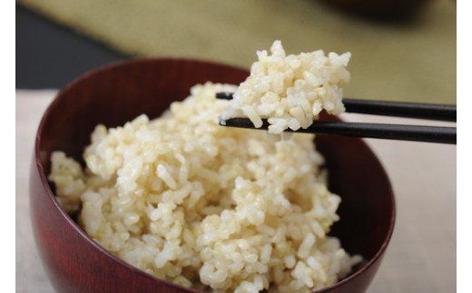 【新米】令和8年産冷めても美味しいあっさりとした味わい「みずかがみ」玄米【10kg（5kg×2袋）】【C018W2】（滋賀県　近江八幡市）