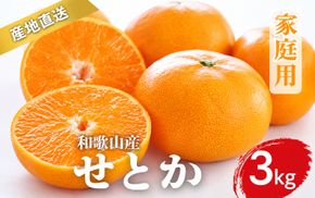 【先行予約】家庭用 せとか 和歌山 有田 S～4Lサイズ 大きさお任せ 3kg【2月上旬～3月下旬頃に順次発送】みかん ミカン 蜜柑 家庭用 フルーツ 果物 くだもの 柑橘 人気 甘い 数量限定 期間限定 和歌山県 北山村【ktn014A】