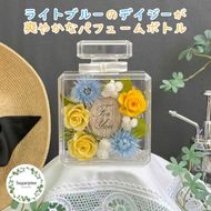 プリザーブドフラワー　レア　春日部市　シュガーパイン(AJ251)