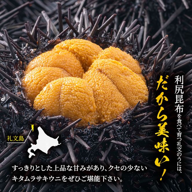 北海道 礼文島産 採れたて ミョウバン不使用 キタムラサキウニ 塩水パック 100g(50g×2個)［株式会社やまじょう］【 うに ウニ 雲丹 生うに 塩水うに キタムラサキウニ 滅菌海水 海鮮 うに丼 濃厚 甘み 】