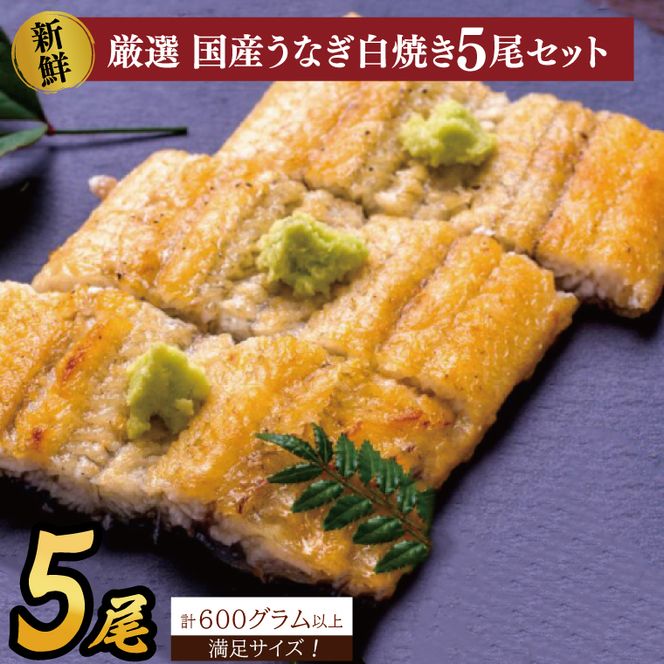 満足サイズ！国内産うなぎ白焼(酒蒸し)120～140g 5尾　計600g以上|うなぎ 鰻 白焼 酒蒸し 満足 茨城県 行方市（AD-136-1）