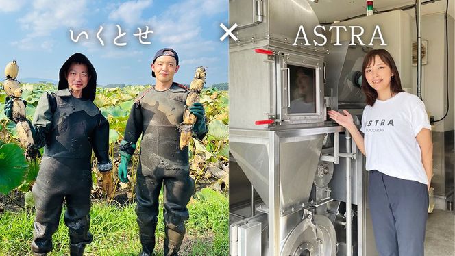 【2026年4月より順次出荷】職人が作る タマネギ香る！ジャーマンミートローフと無塩せき粗挽きソーセージ 味わいセット いくとせ 国際線 ファーストクラス ビジネスクラス 機内食 グルテンフリー 卵不使用 国産豚肉 ビール お酒 ワイン 手造り ソーセージ ミートローフ SDGs フードロス アップサイクル たまねぎ オニオン おいしい 肉 フードテック [DK15-NT]