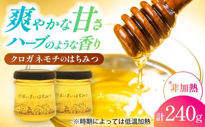 あいさいはちみつ クロガネモチ 120g×2本 蜂蜜 国産 非加熱 愛西市 / あいさいはちみつ[AEBP002]