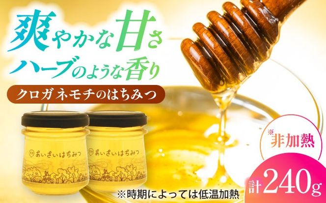 あいさいはちみつ クロガネモチ 120g×2本 蜂蜜 国産 非加熱 愛西市/あいさいはちみつ[AEBP002]