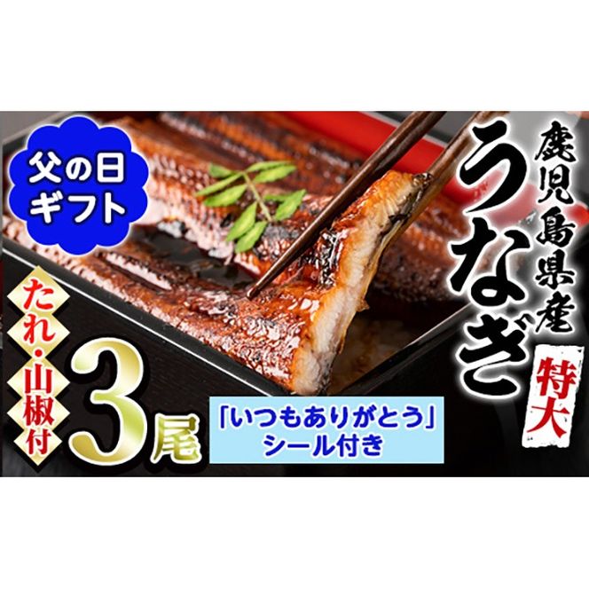 【0234303a-F】＜父の日ギフト＞東串良町のうなぎ蒲焼(無頭)(3尾・計約630g・タレ、山椒付) うなぎ 高級 ウナギ 鰻 国産 蒲焼 蒲焼き たれ 鹿児島 ふるさと 人気 父の日 ギフト 贈り物 プレゼント 【アクアおおすみ】