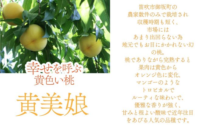 黄美娘＆白桃ロールケーキ 019-002